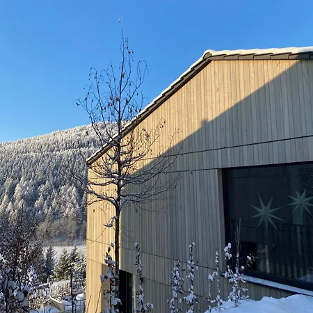펜션 Sauerland - Haus Anton